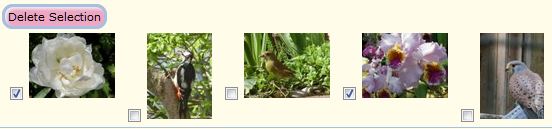 Delete a selection of photos