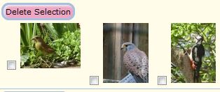 A selection of photos has been deleted