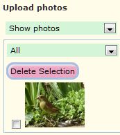 A photo has been uploaded