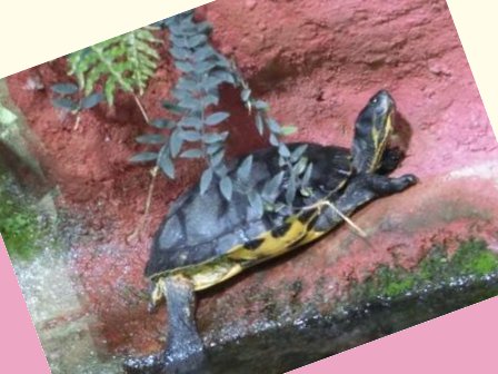 Karten, Zahlen, Würfel